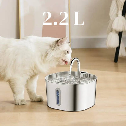 Fontaine à eau filtrée Nekorya