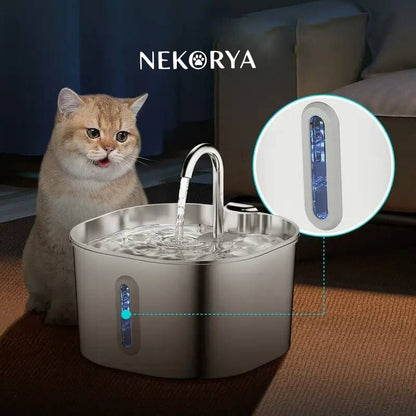 Fontaine à eau filtrée Nekorya