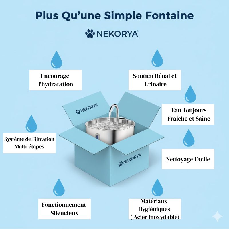 Fontaine à eau filtrée Nekorya