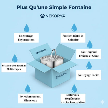 Fontaine à eau filtrée Nekorya